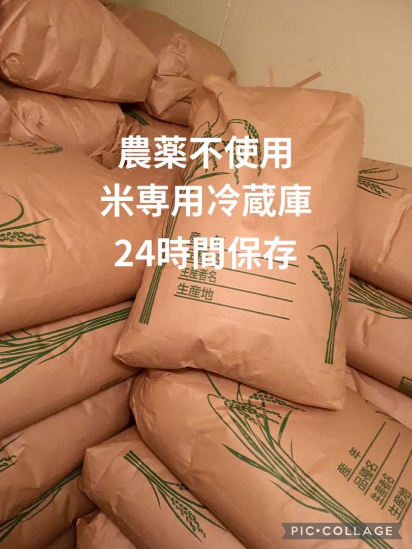 にこまる 10kg 農家六代目 自家生産 農薬不使用 玄米 国産 農家直送