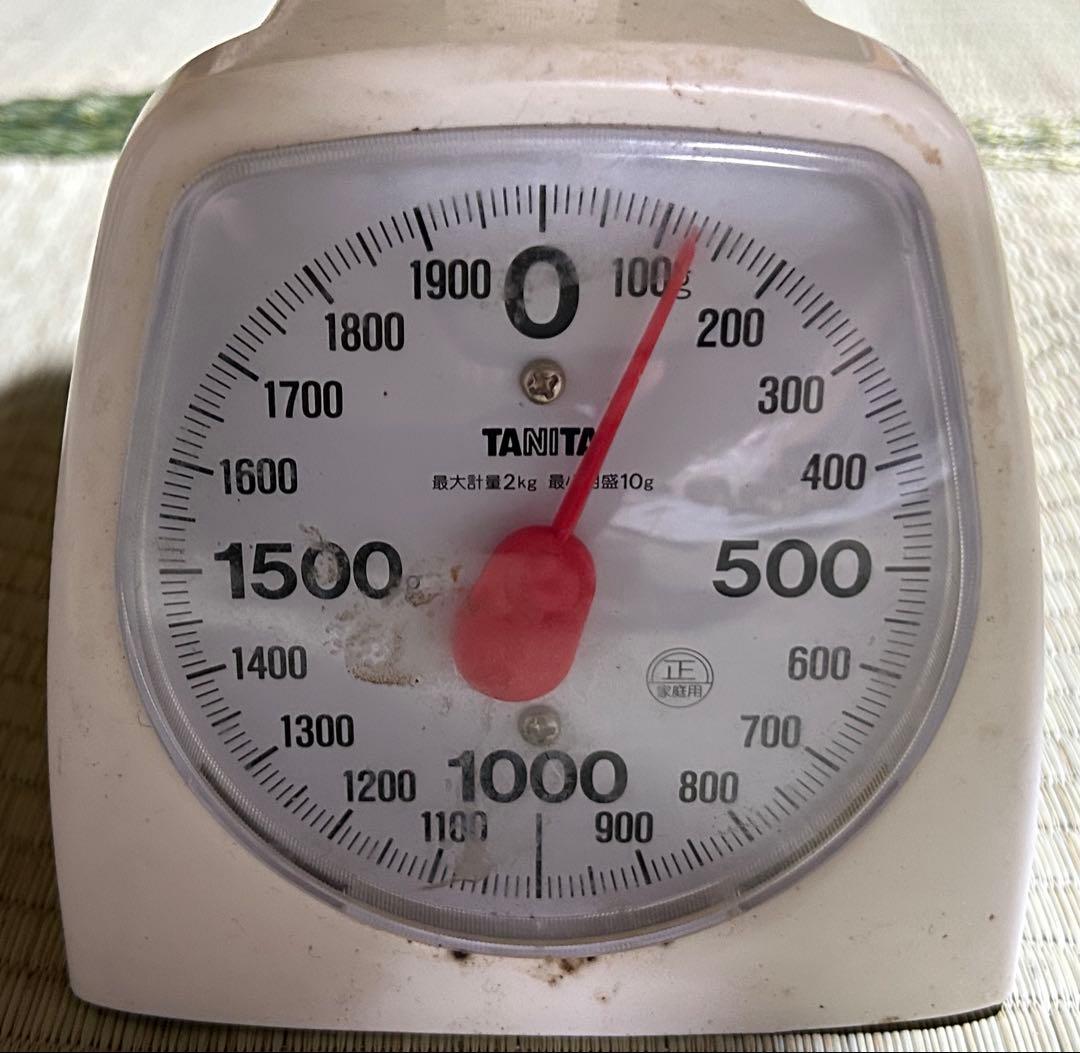 ☆信州産松茸☆今現在約125グラム☆まつたけ☆クール便送料着払い☆国産松茸☆②☆