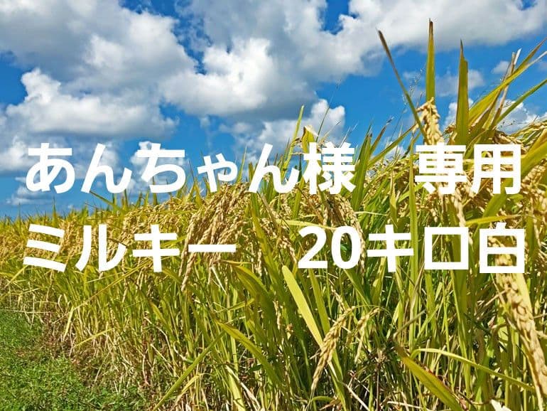 あんちゃん　20キロ精米