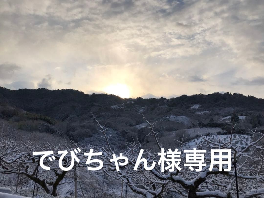 でびちゃん　和田果樹園の果物10kg