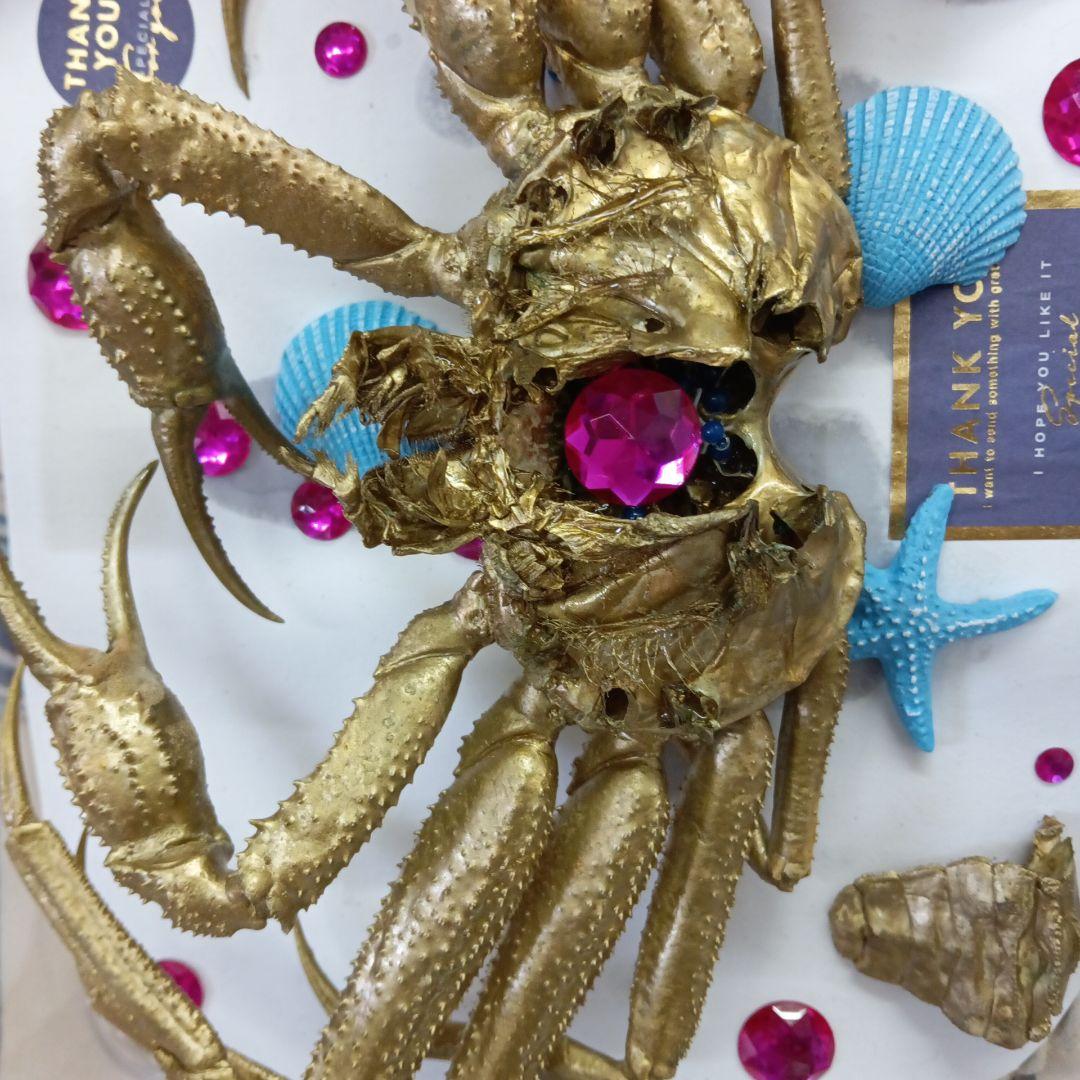 松葉蟹[セコガニ］ゴールドカラーオリジナル全長２３センチ立体リアル標本飾り置物