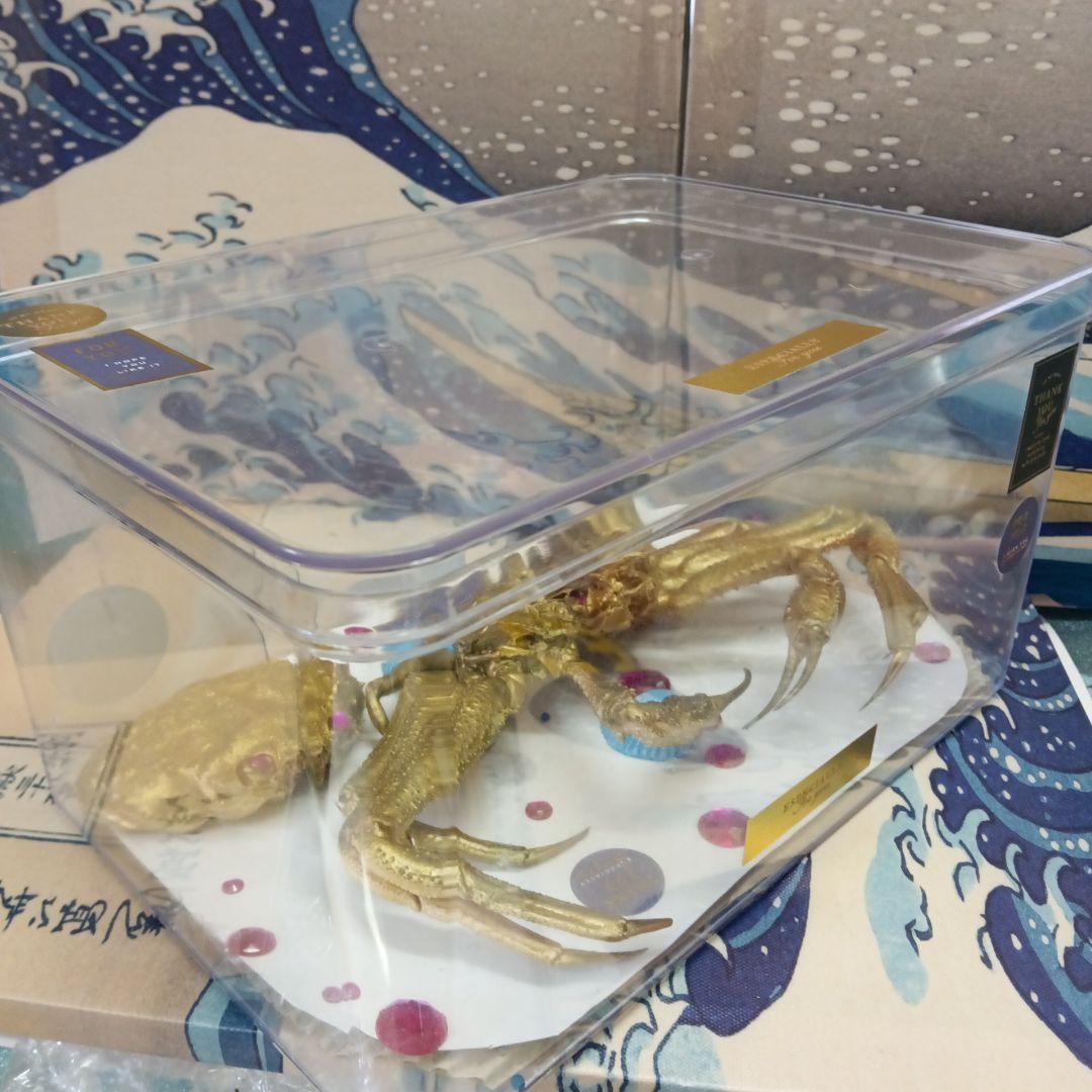 松葉蟹[セコガニ］ゴールドカラーオリジナル全長２３センチ立体リアル標本飾り置物