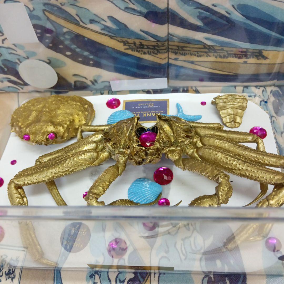 松葉蟹[セコガニ］ゴールドカラーオリジナル全長２３センチ立体リアル標本飾り置物