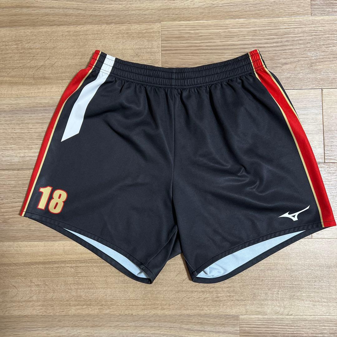 愛知学院大学バレーゲーパン