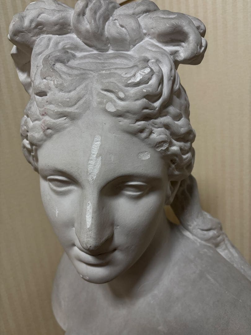 石膏像　カピトリーノのヴィーナス胸像(カッパ)　大型