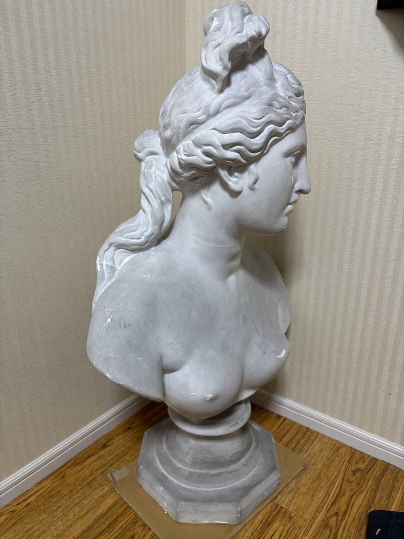 石膏像　カピトリーノのヴィーナス胸像(カッパ)　大型