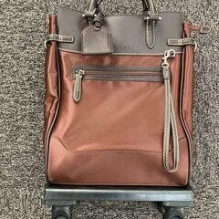 スワニー　ウォーキングキャリーバッグ　フォルティーノ　（XS）