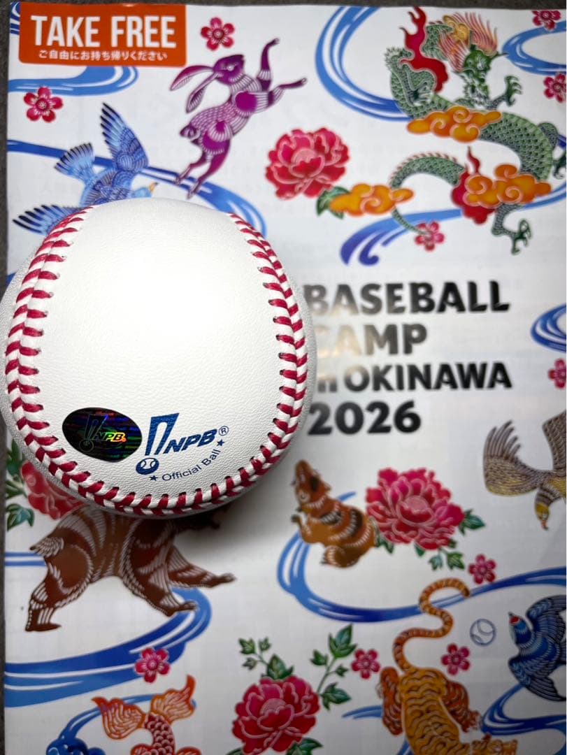 中日ドラゴンズ 高橋宏斗 直筆サインボール　2026沖縄キャンプ
