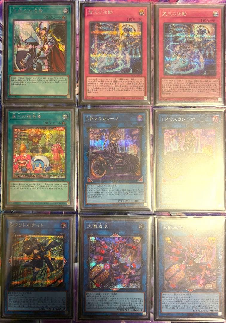 巳剣　デッキ　CS構築　ほぼシークレット統一