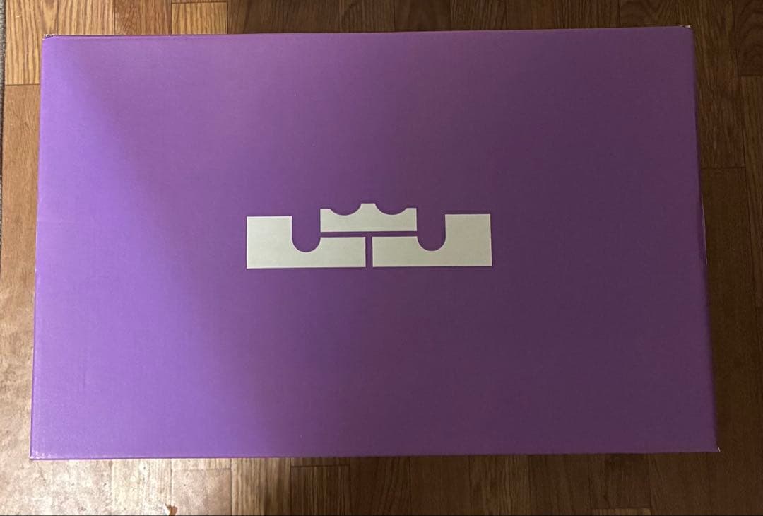 【新品タグ箱付】ナイキ レブロン ウィットネス8ライトスモークグレー