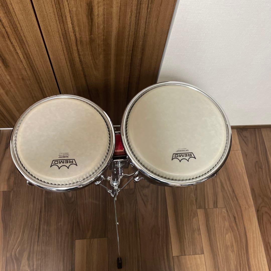 Remoヘッド交換済LP ボンゴ スタンド付き 超美品‼️