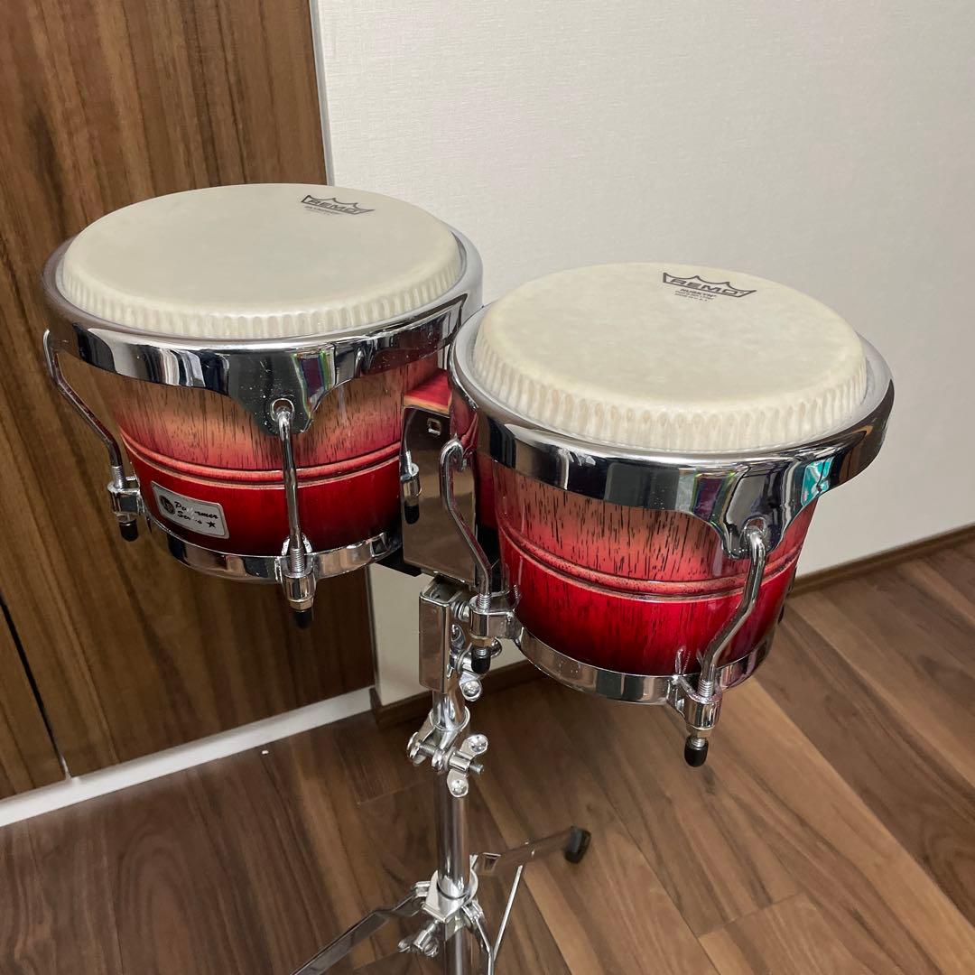 Remoヘッド交換済LP ボンゴ スタンド付き 超美品‼️