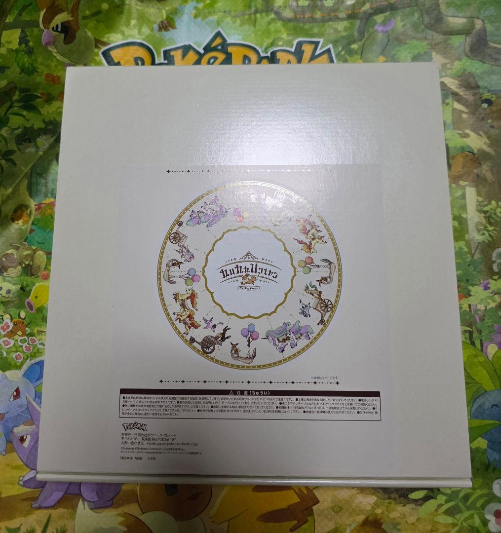 【新品】ポケパークカントーブイブイヴォヤージュ　陶器プレート