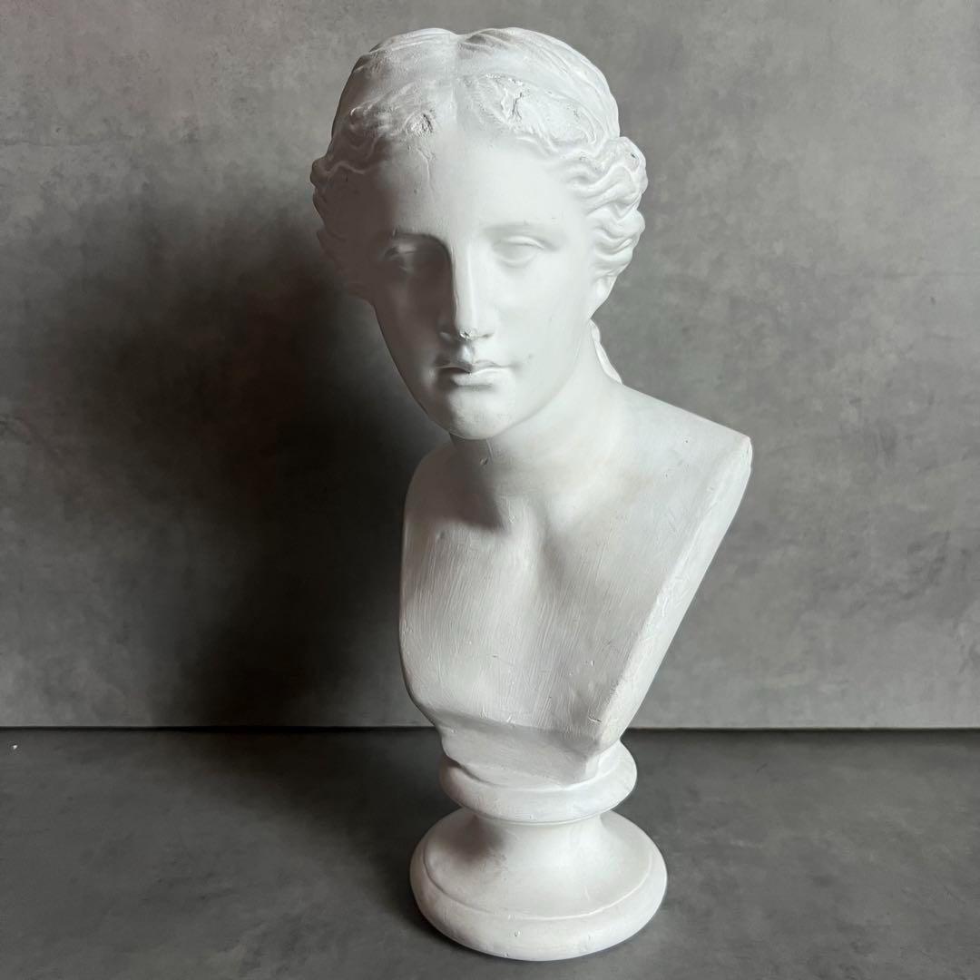 希少 ミロのヴィーナス 石膏 胸像 デッサン アート 彫刻 美術 芸術 アート