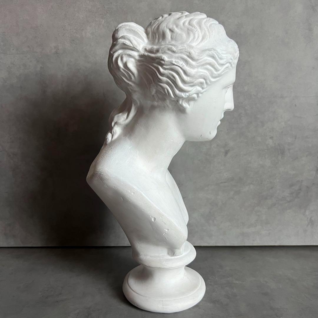 希少 ミロのヴィーナス 石膏 胸像 デッサン アート 彫刻 美術 芸術 アート