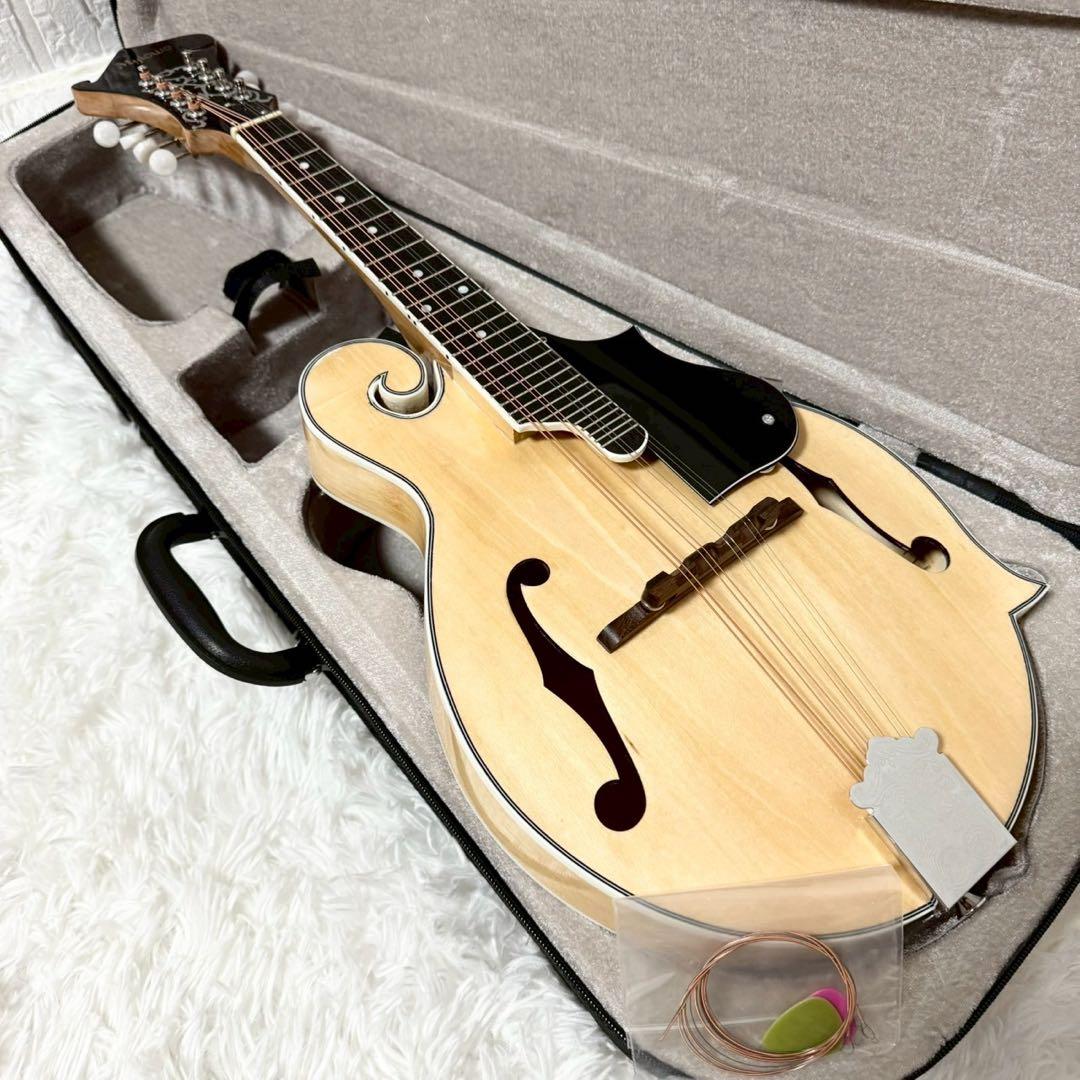 『希少美品』Mylowe フラットマンドリン ハードケース付き