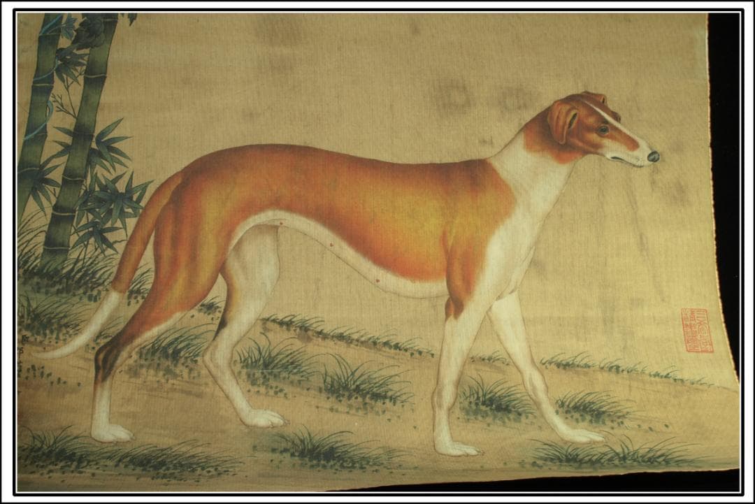 【骨董掛け軸】犬図 中国郎世寧　 清時代 肉筆保證 唐物 BD545C11-4