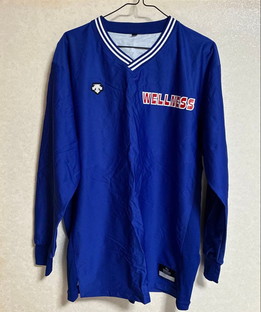 デサント　ウィンドブレーカー　日本ウェルネススポーツ大学　Lサイズ　ISHII入