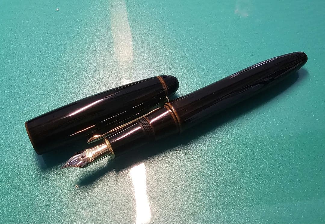PLATINUM万年筆 出雲 枇杷溜め F(細字)