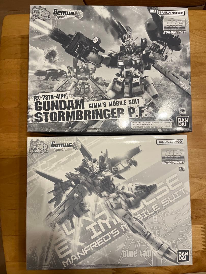 MG ガンダムストームブリンガー P.F. & エクスインパルス 2個セット