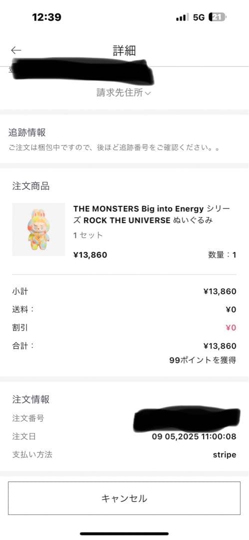 ぬいぐるみ Big into Energy ROCK THE UNIVERSE labubu