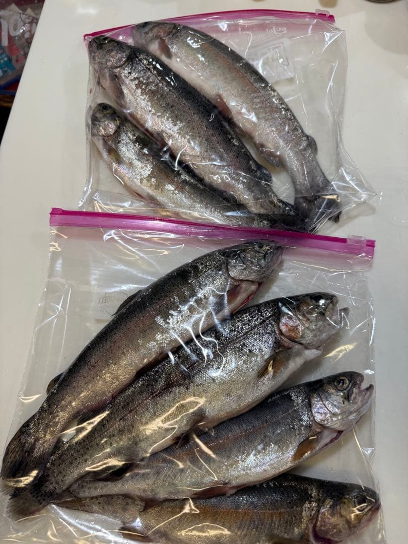 ロッド Vertical PRO S180