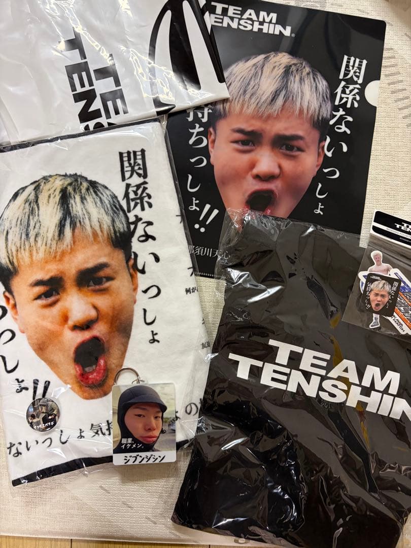 TEAM TENSHIN かんきも展セット