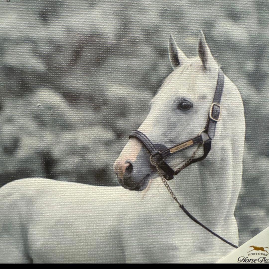 全て未開封　ゴールドシップ♡10点セット　完売品含　ゴルシ　希少　競馬