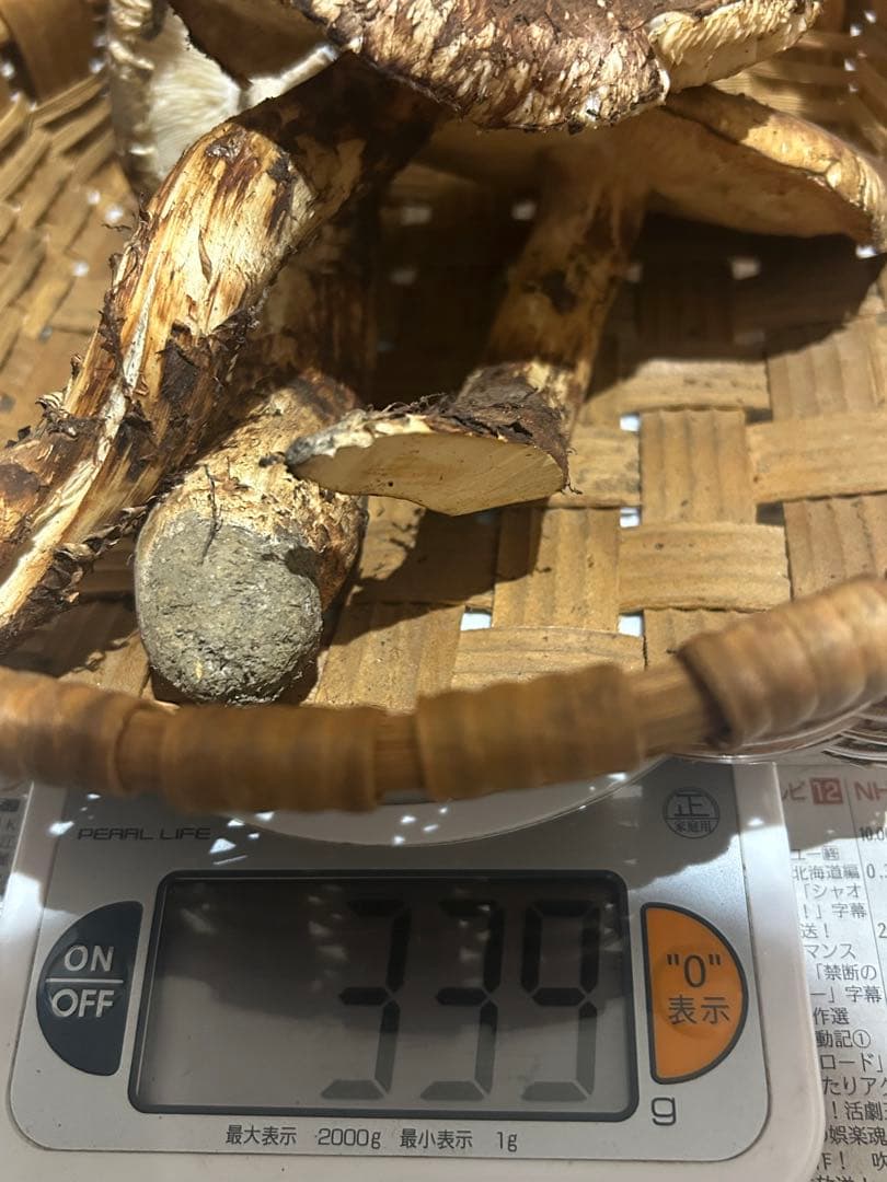 【オコオコ】岩手県産松茸　開き339g シーズンラスト