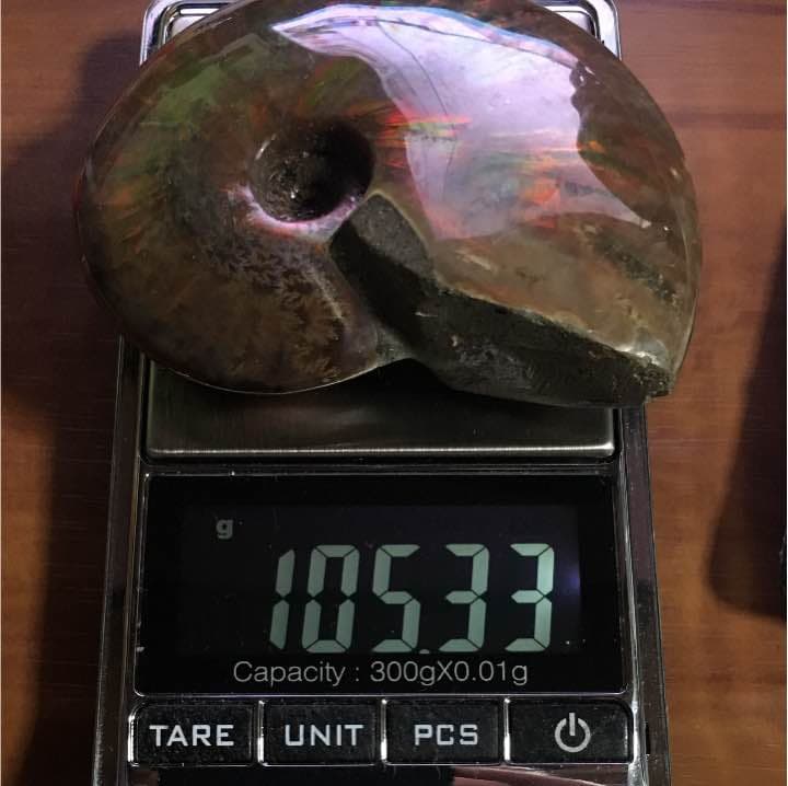 マダガスカル産 ファイアーアンモナイト