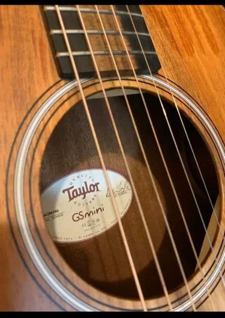 美品 Taylor GS Mini-e Koa ＆ SKB ケース