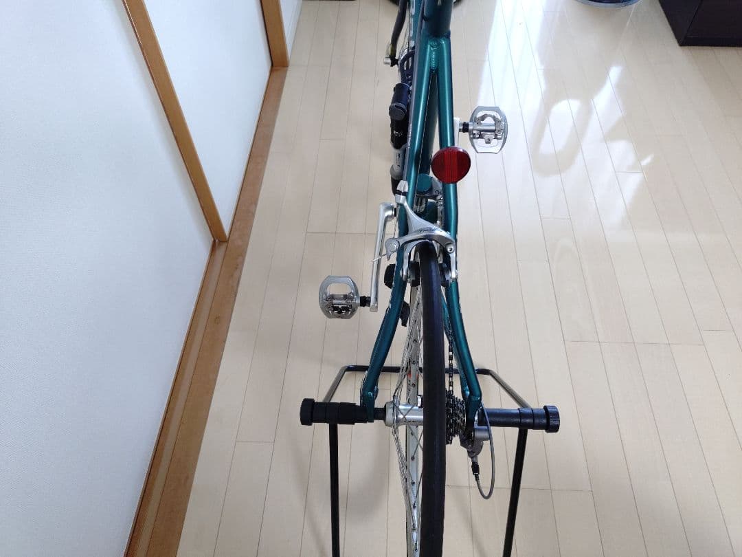 Raleigh RSR RSW Rece ミニベロ