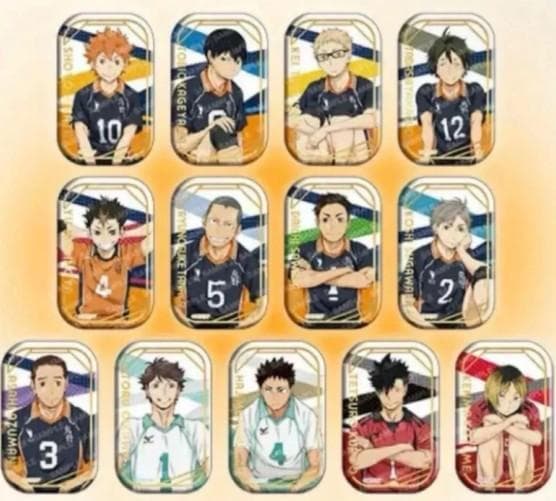 「新品未開封品」ハイキュー！！スクエア缶バッジ【BOX】(おすわり)全セット