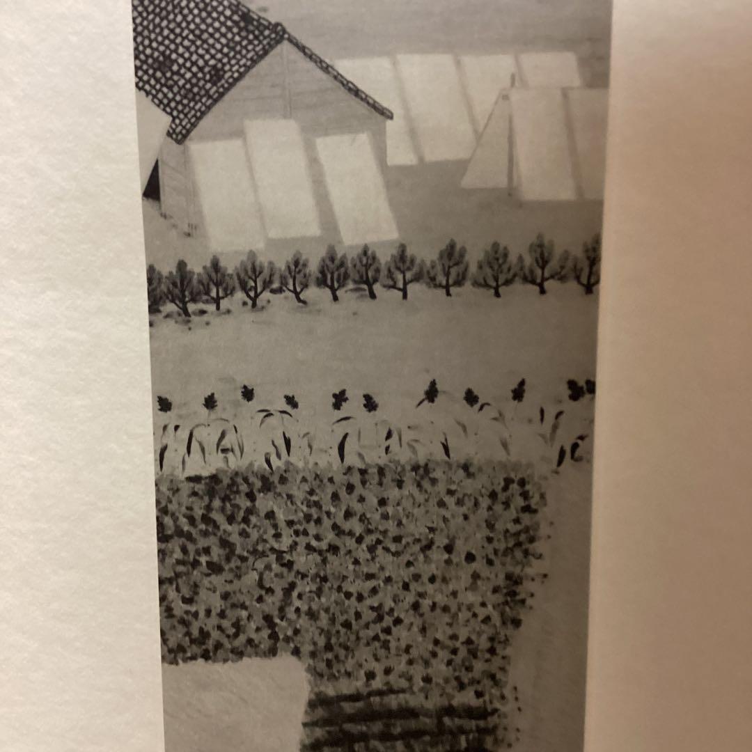 天才画家速水御舟　作品集大作編　便利堂監修　　画集　NO 3 【　近　村　】