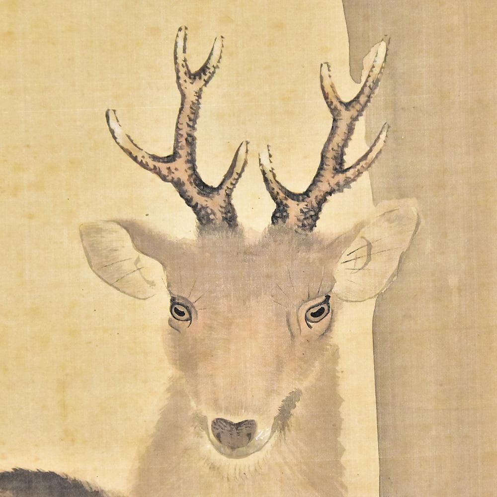 前川孝嶺画 双鹿図 水墨画 掛軸 日本画 掛軸 落款 縁起図 縦204㎝