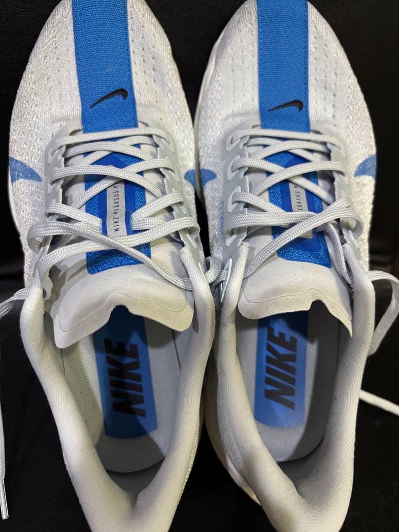 美品　ナイキペガサスプラス　27cm