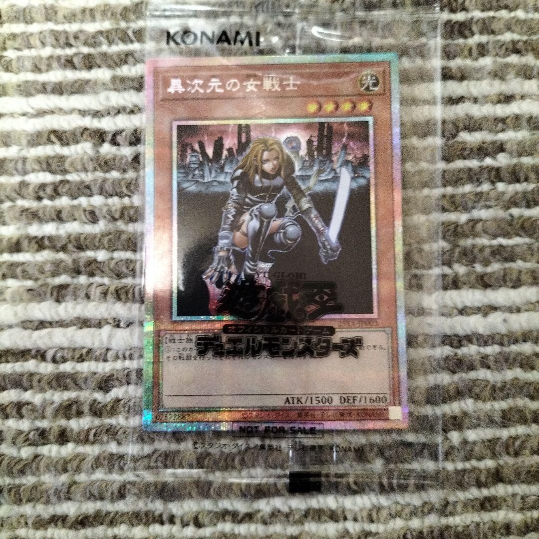 異次元の女戦士