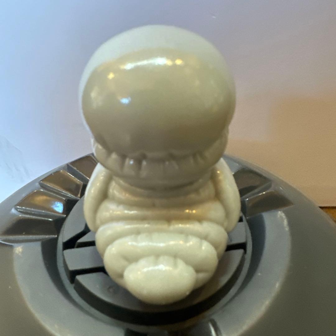 初代2017年　ガーシー　GAAACY 激レア　NANGA ネイタルデザイン