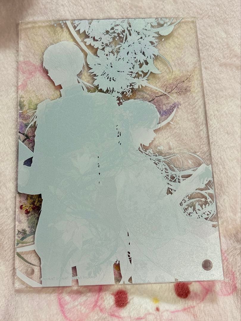 アクリルパネル わたしの幸せな結婚 9枚