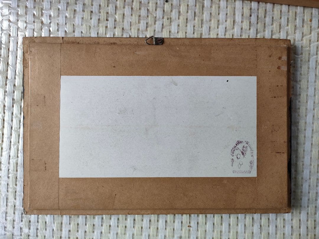 ●昆虫標本セット額入り サソリ + クモ（スパイダー）標本/博物館/インテリア