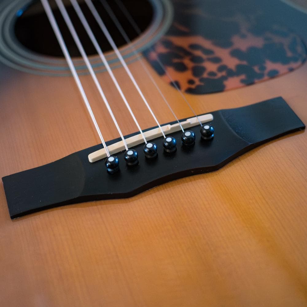 MORRIS M-01 TS 2006年 極美品スタンダード