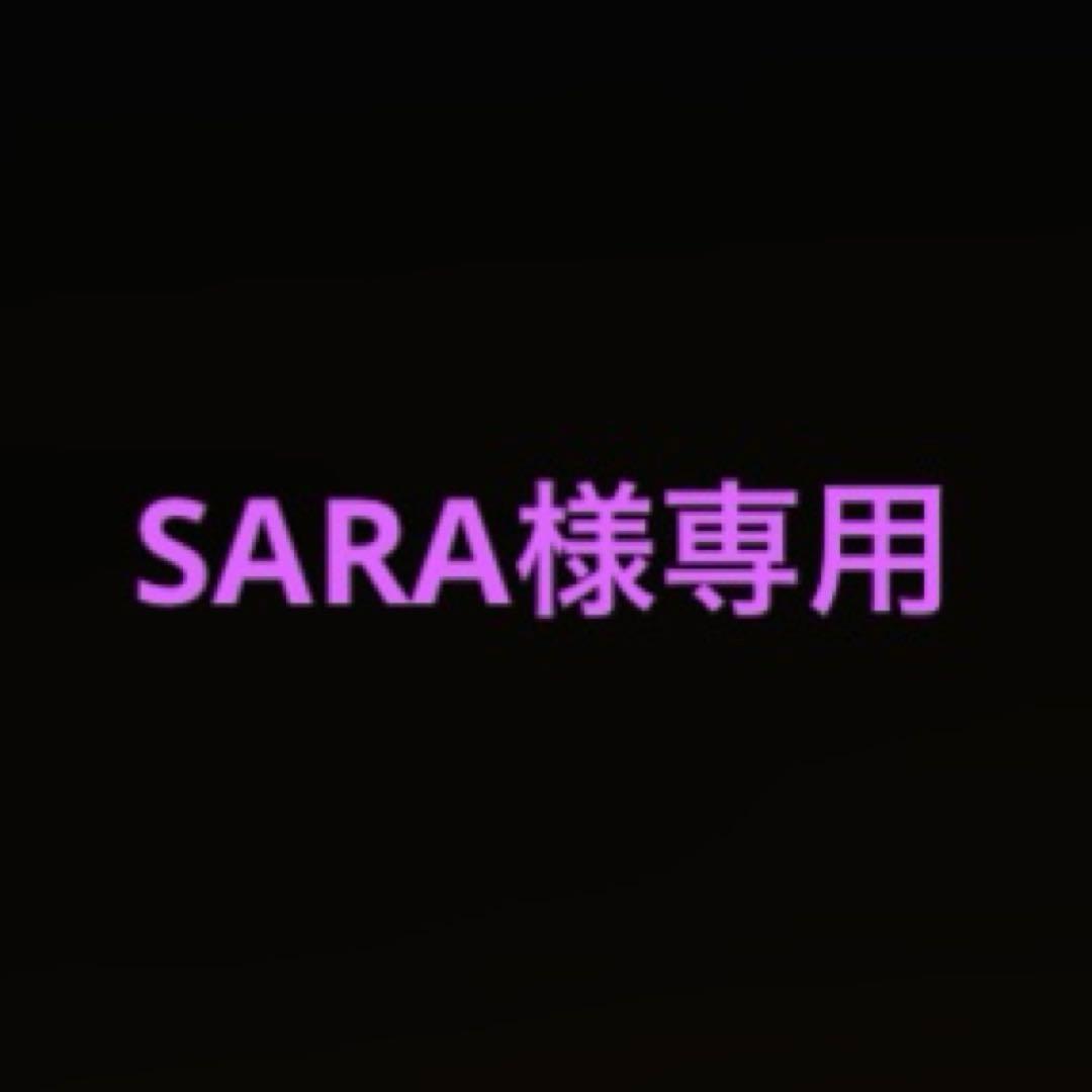 ホビー・楽器・アート SARA