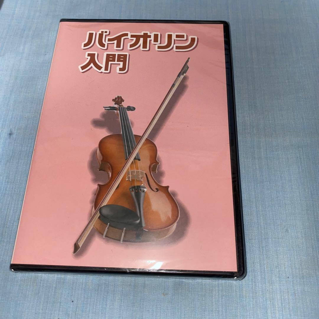 【美品】Hallstatt ハルシュタット V-12 4/4 バイオリン