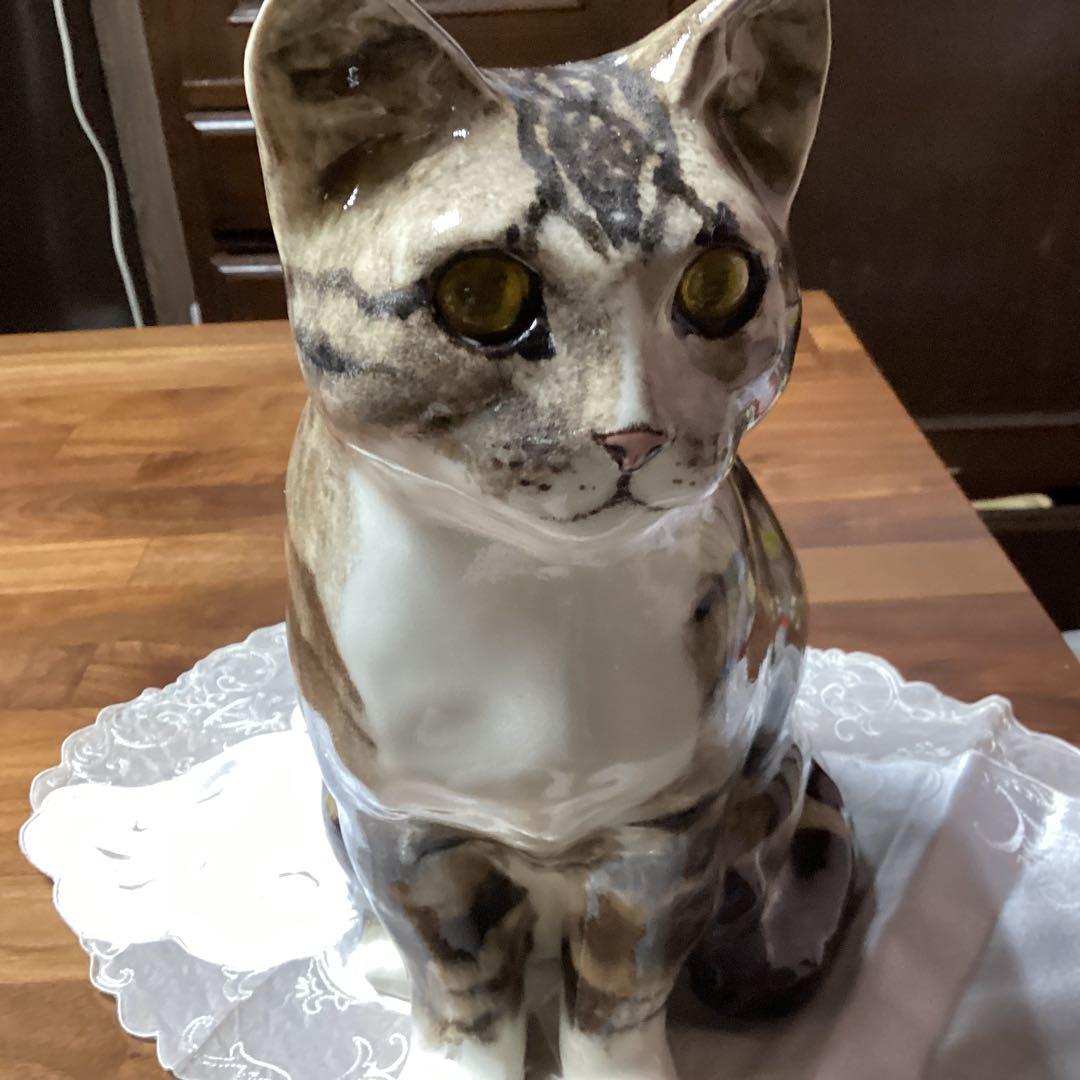 ウィンスタンレーキャット、ケンジントンキャットサイズ6の大きな猫