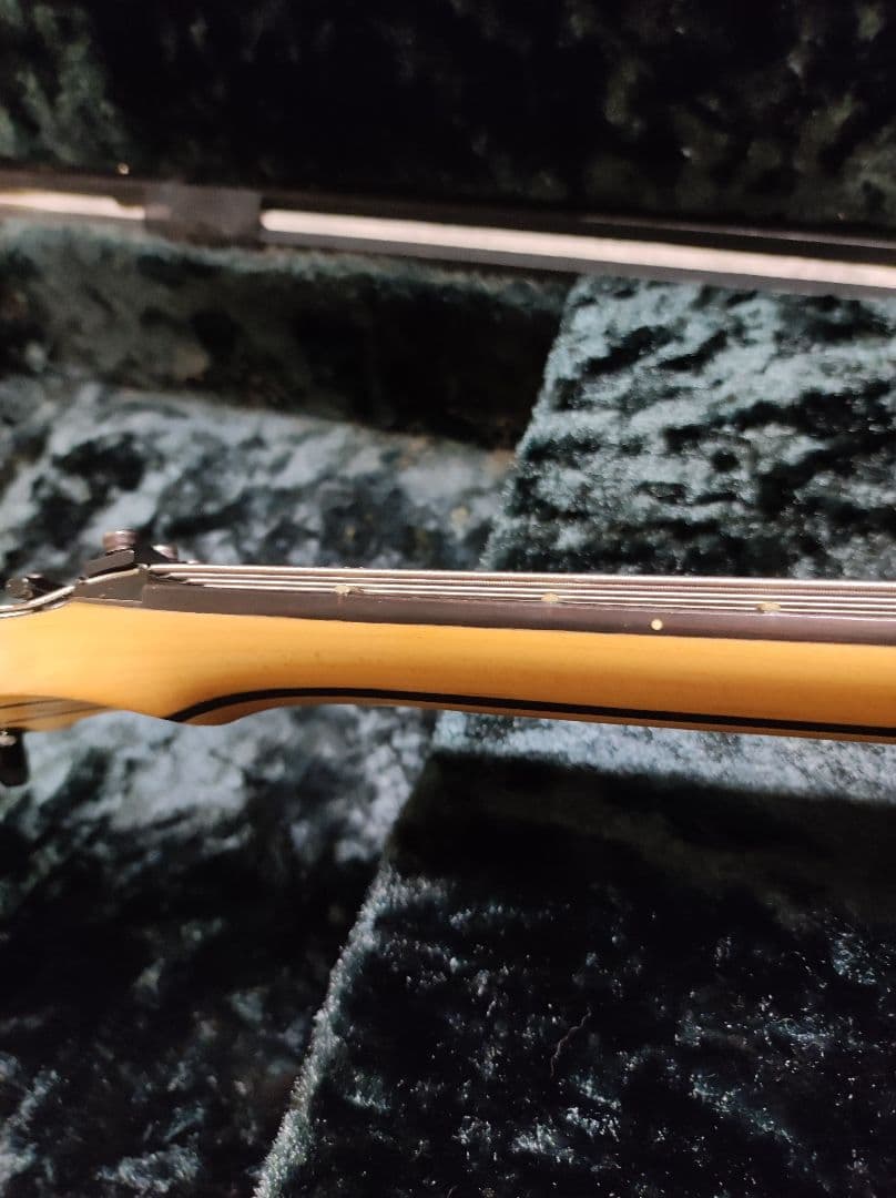 林*様 Ibanez RG2228GK Prestige ケース付 逆輸入