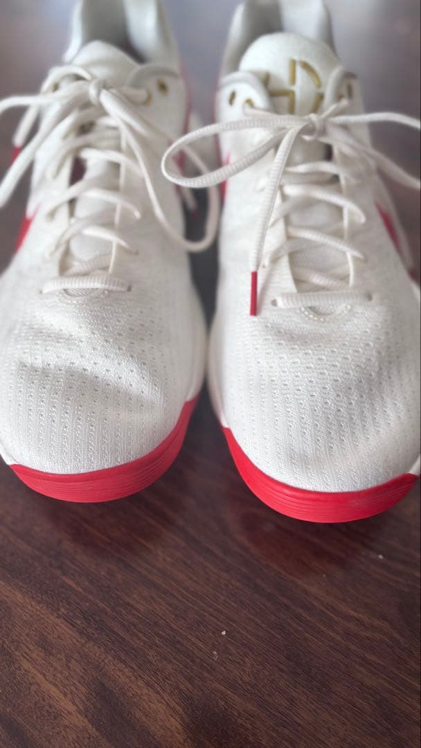 Nike HYPER DANK 2017✴︎Lunar New Year✴︎美品