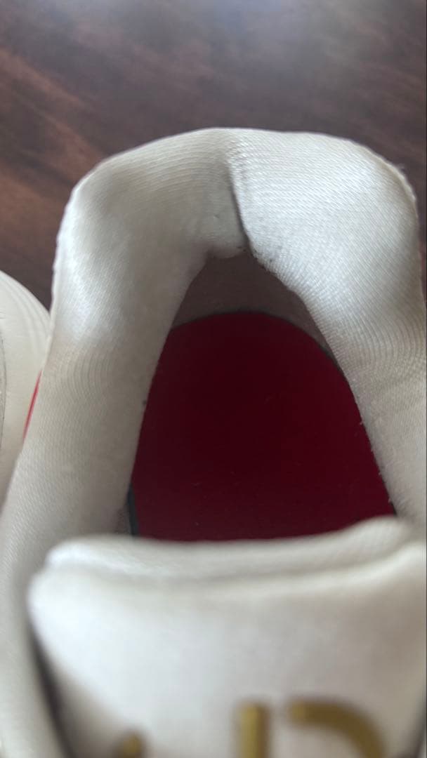 Nike HYPER DANK 2017✴︎Lunar New Year✴︎美品