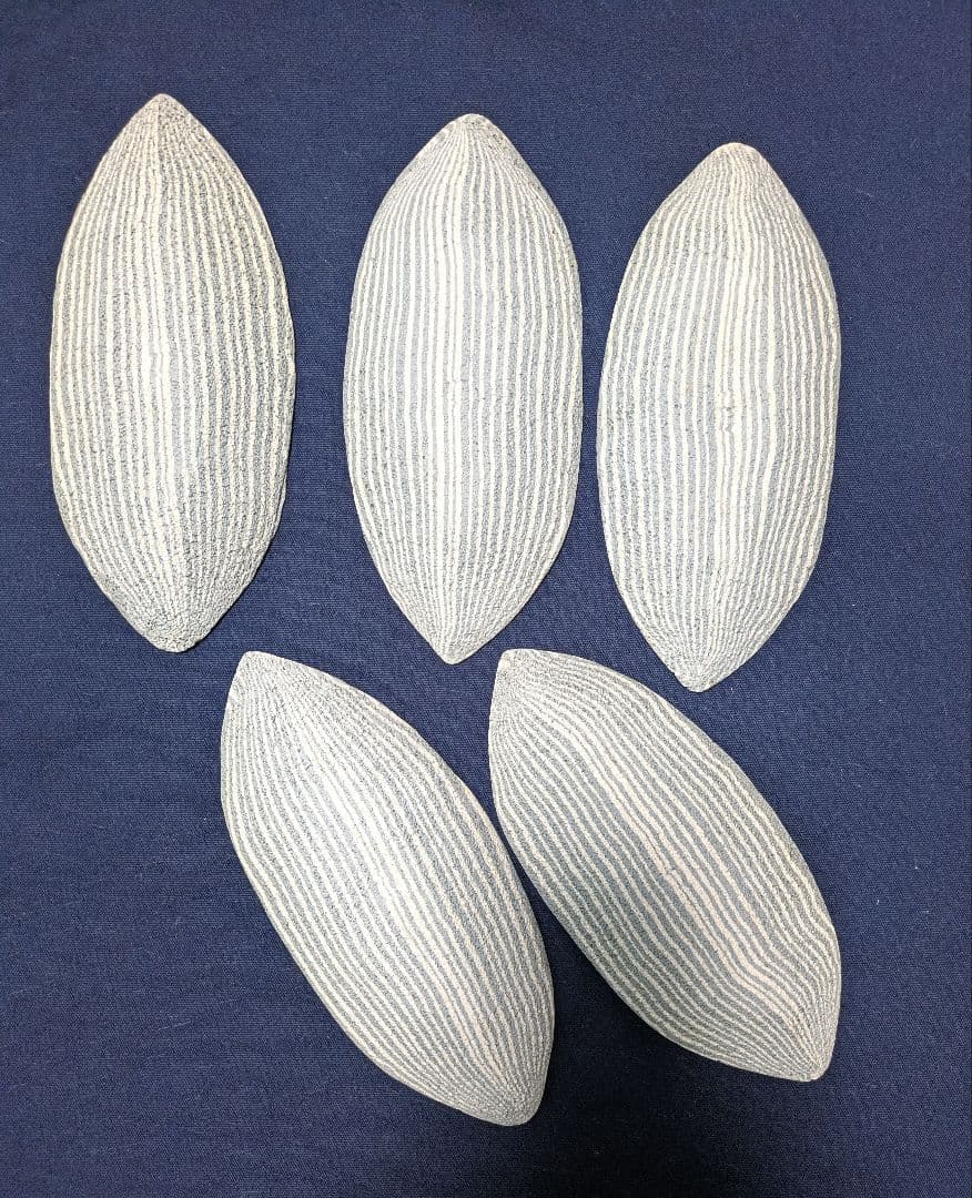 人間国宝【松井康成】造 練上げ嘯裂文葉皿５枚