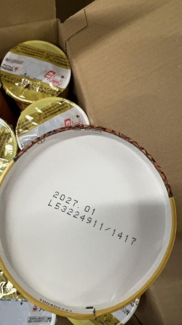 ネスカフェ ゴールドブレンド エコ＆システムパック 95 g 12箱