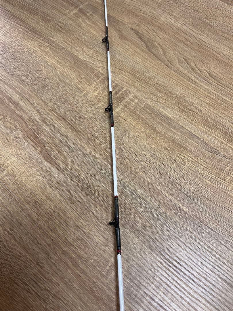 小笠原　24号524 カーボウィスカー